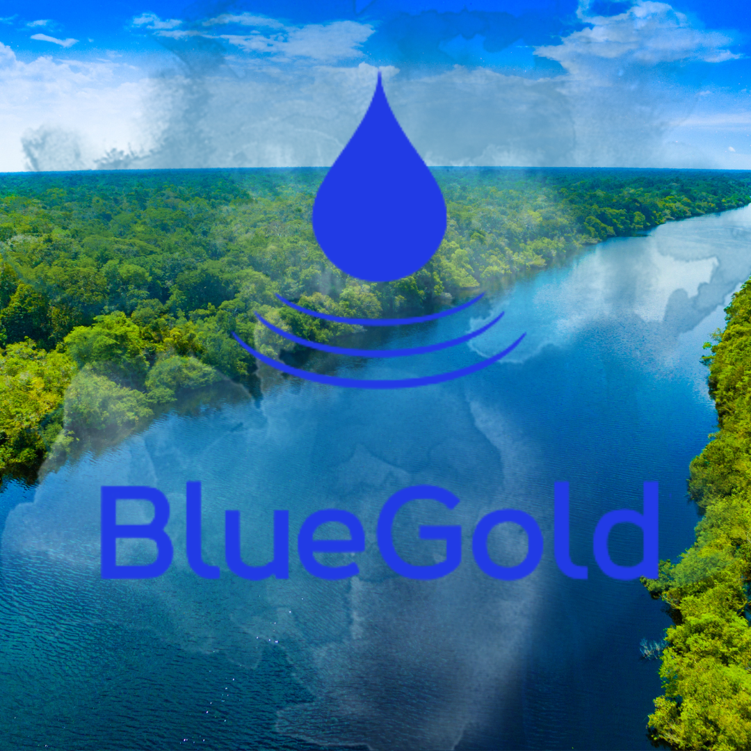 Bluegold Logo