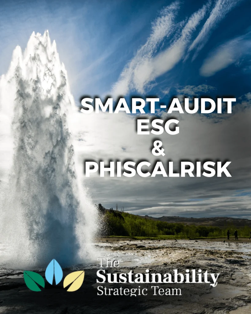 grafich per sostenibilità - smart auit branding per sst sustainability strategic team - cybermdiateinment